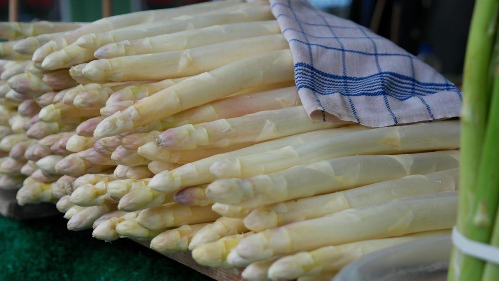 10 Tips Mengupas Asparagus Cepat dan Efisien