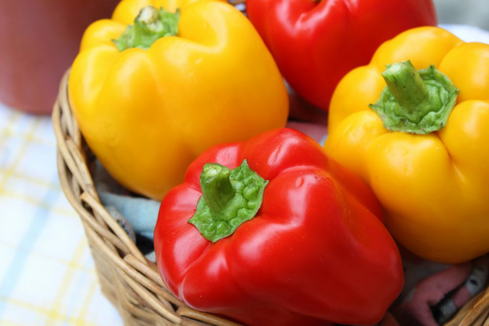 5 Tips Memilih Paprika yang Masih Segar untuk Memasak