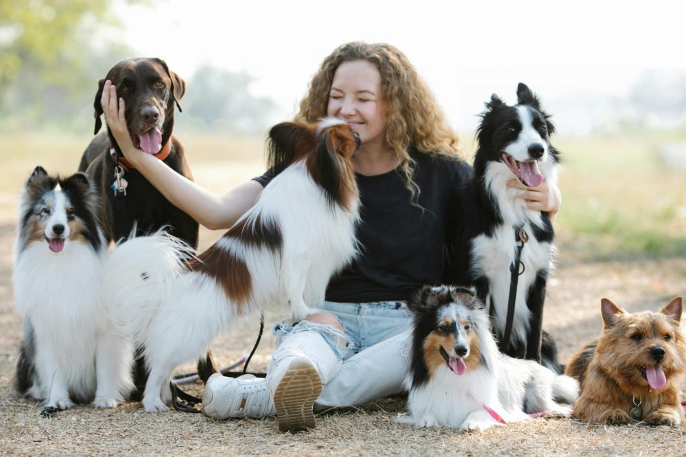 5 Penyebab Anjing Menjilati Pemiliknya, Tanda Sayang?