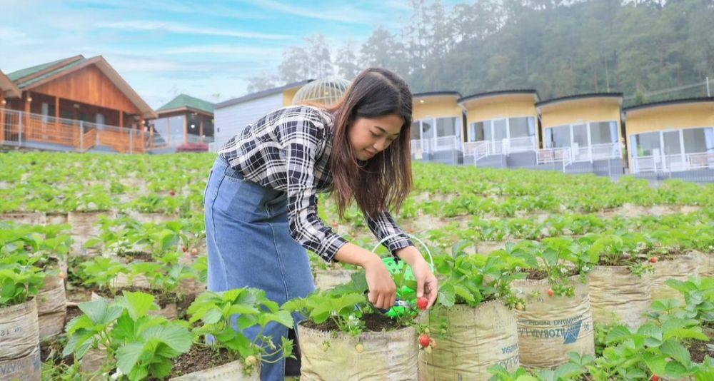 9 Info Dlawu Mountain Cottage, Villa Estetik View Alam di Karanganyar