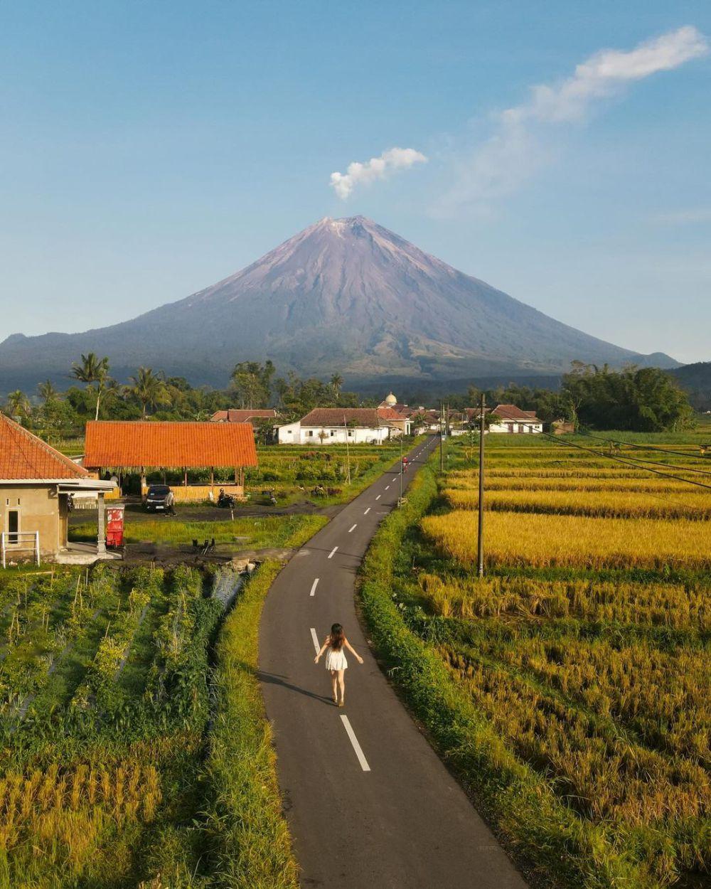 7 Spot Melihat Gunung Semeru dari Lumajang, Viewnya Memukau!