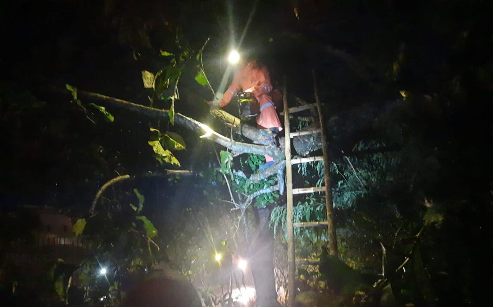 Hari ke-3 Lebaran di Magetan Diwarnai Banjir dan Pohon Tumbang