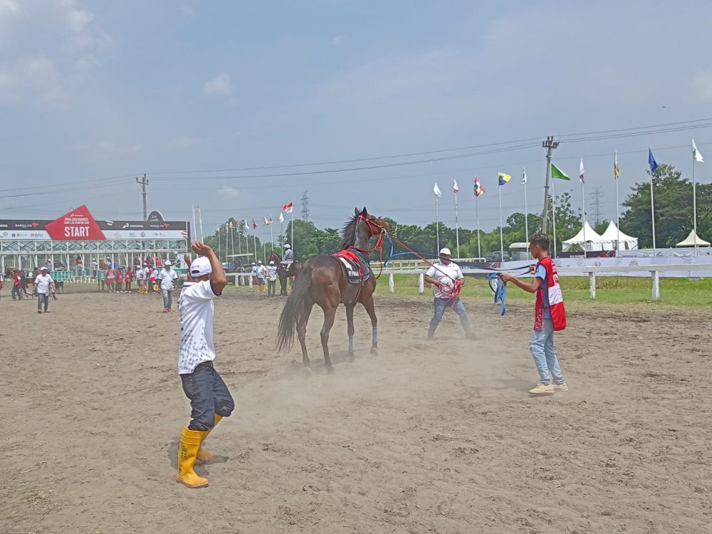 Lomba Pacuan Kuda Libatkan Joki Anak Digelar Lagi di Bima