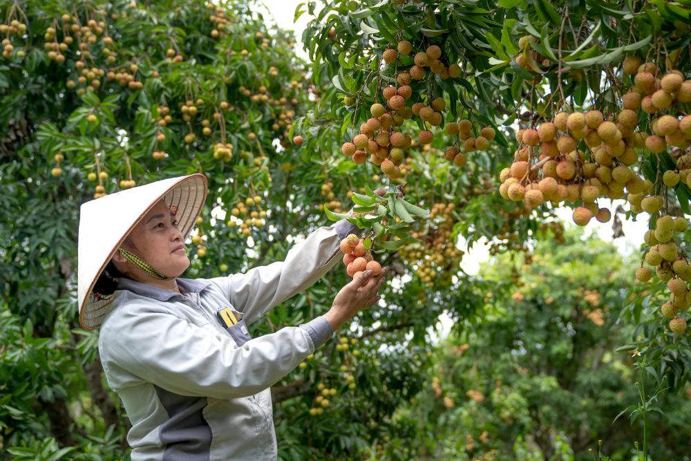 4 Alasan Mengapa Kamu Harus Berbelanja Di Pasar Tradisional