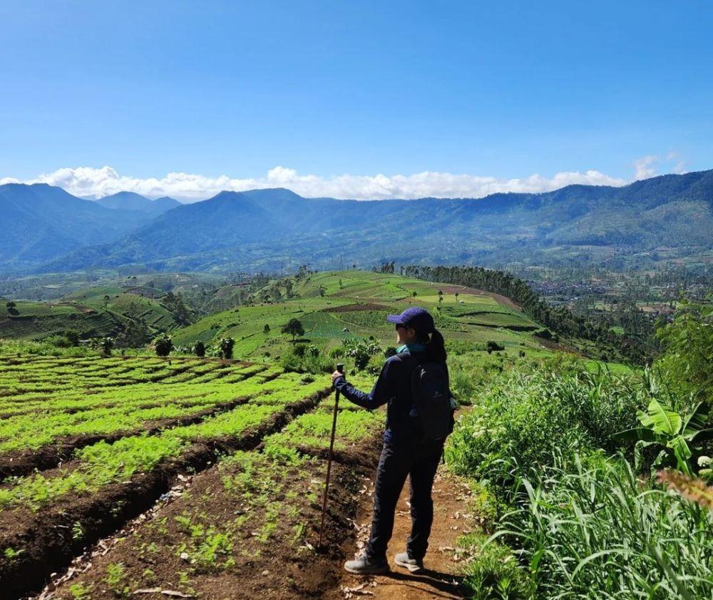 Info Wisata Gunung Artapela