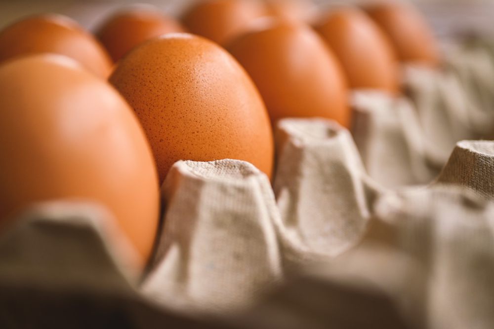 Resep Omelet Telur Asin dan Jamur Truffle, Cara Bikinnya Praktis