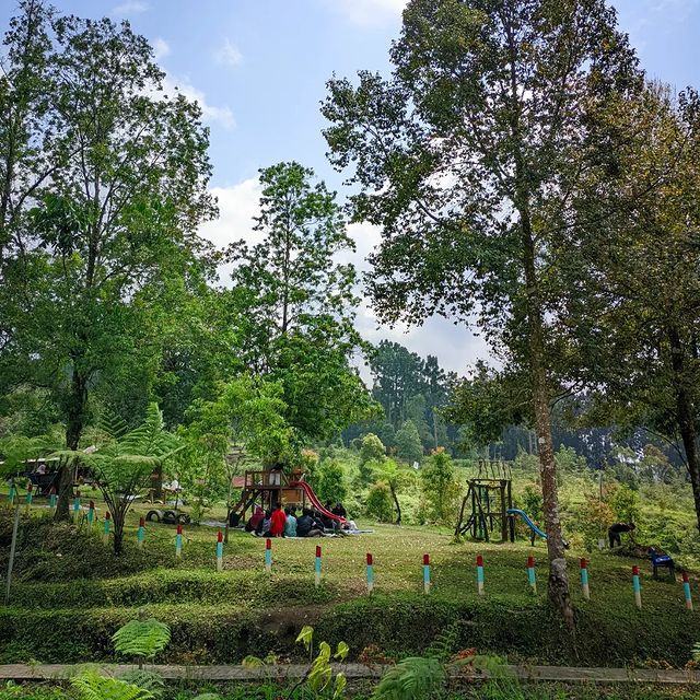 Bukit Tengtung Baturaden Banyumas, Camping dengan View Gunung Slamet