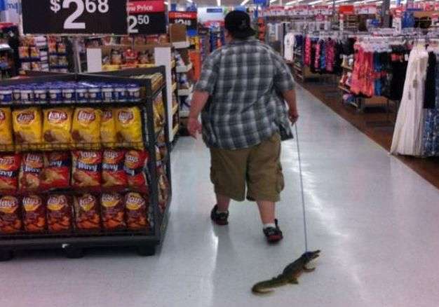 Funny Pictures At Walmart Random Photos