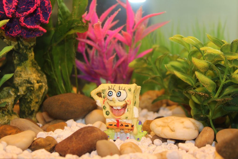 Apa Benar Bikini Bottom adalah Situs Uji Coba Nuklir?