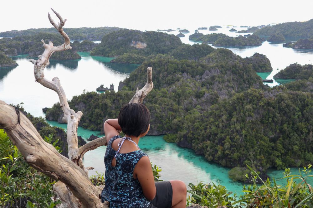 5 Destinasi Wisata Misool di Raja Ampat yang Bikin Jatuh Cinta 