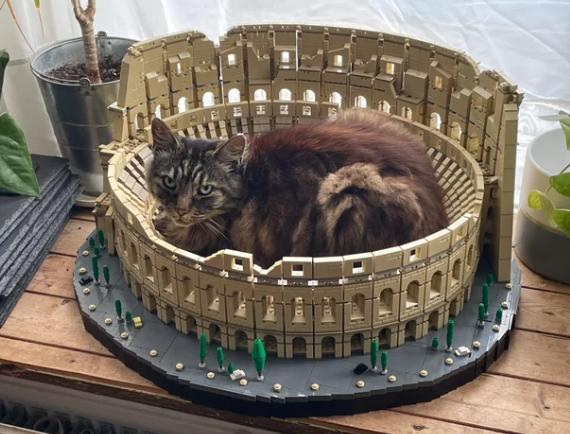 7 Foto Kucing Tiduran di Atas Miniatur Bangunan dan Rel