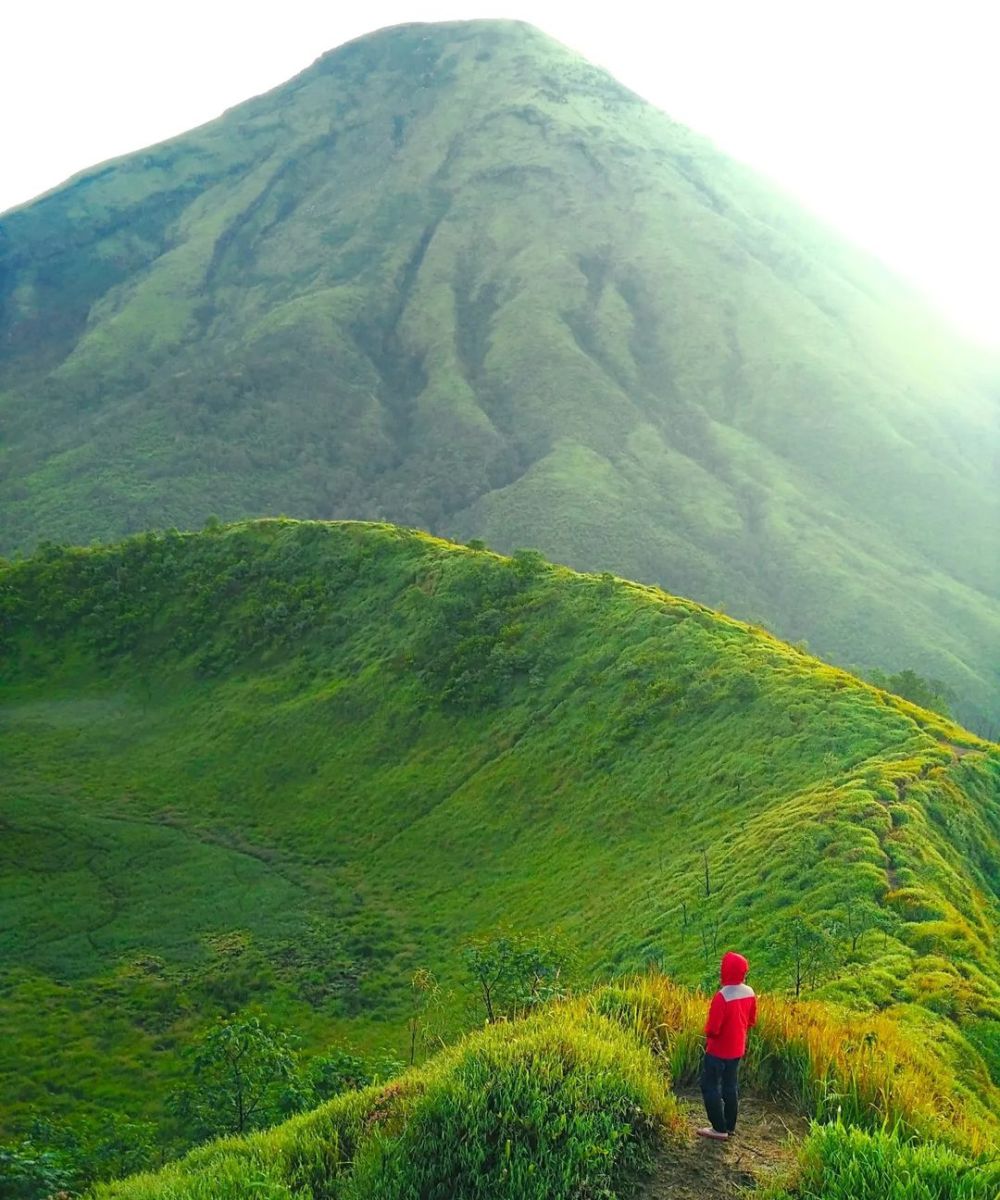 Gunung Kembang Wonosobo: Lokasi, Rute, Harga, dan Aktivitas