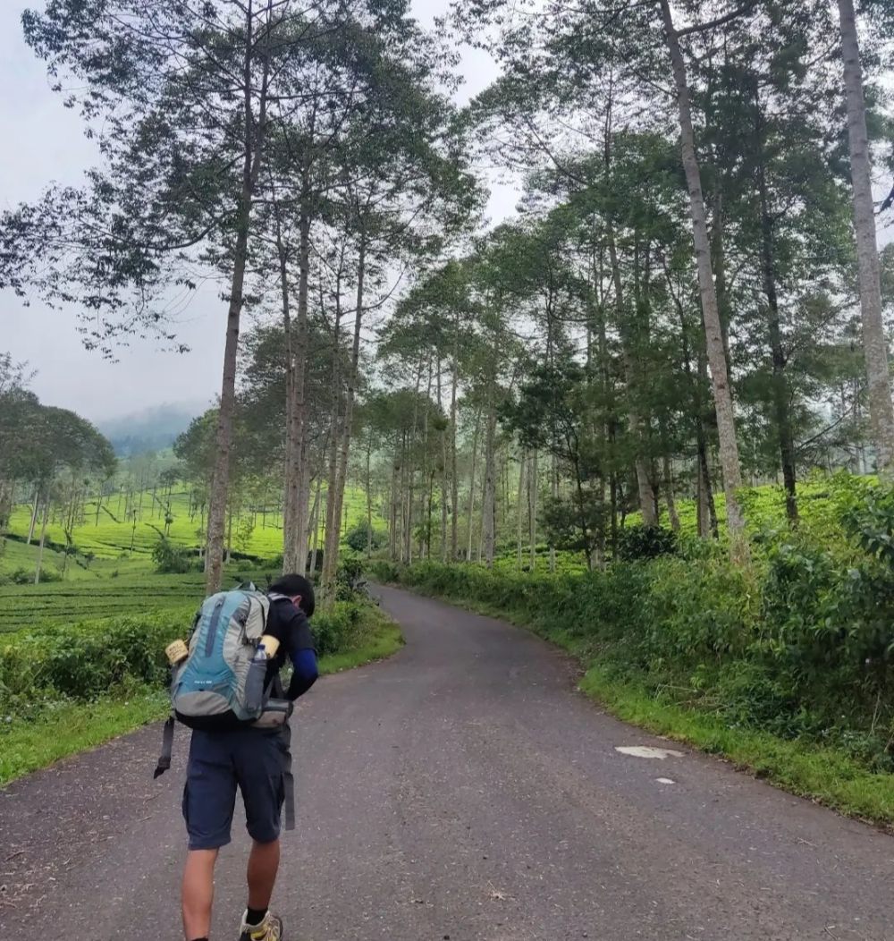 Gunung Kembang Wonosobo: Lokasi, Rute, Harga, dan Aktivitas