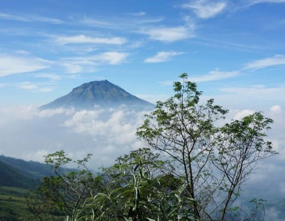 Gunung Kembang Wonosobo: Lokasi, Rute, Harga, dan Aktivitas