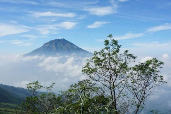 Gunung Kembang Wonosobo: Lokasi, Rute, Harga, dan Aktivitas