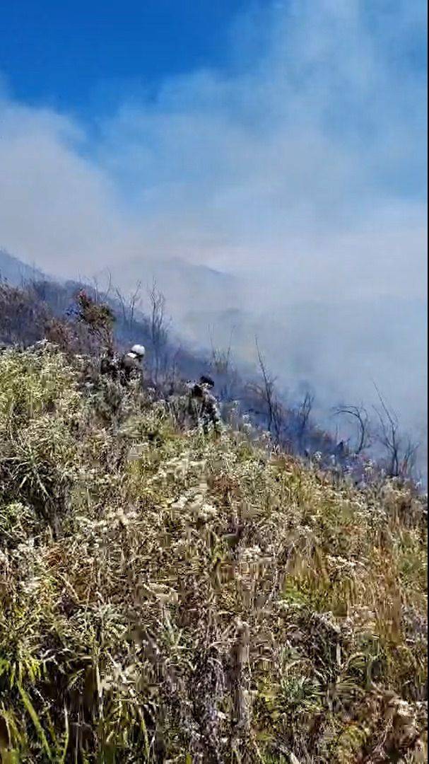 Kebakaran Savana Gunung Bromo Berhasil Dipadamkan