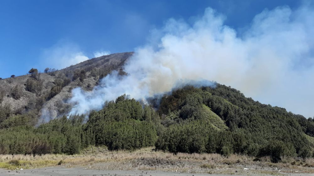 Kebakan Hutan dan Lahan saat Kemarau  di Jatim  Jadi Sorotan