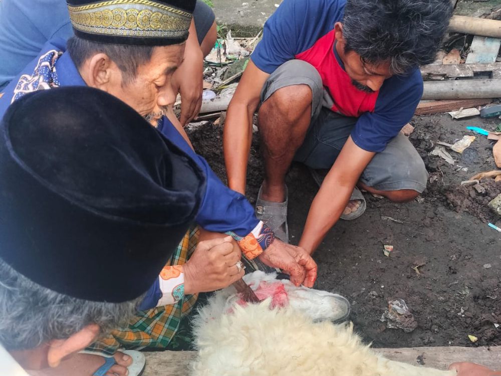 Pemkab Tangerang Temukan Cacing Hati di 8 Hewan Kurban
