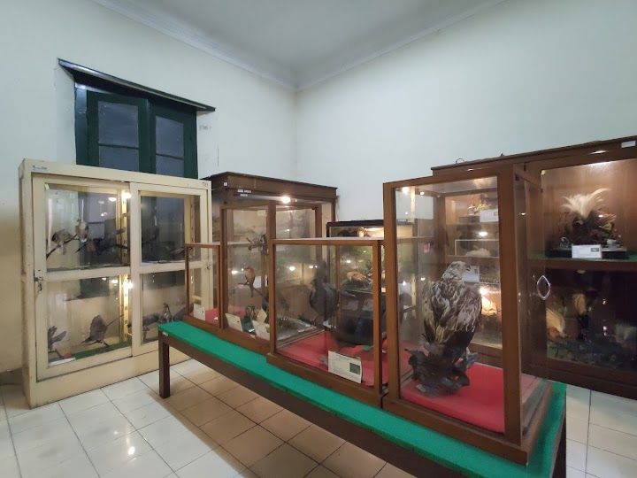 Museum Biologi UGM, Wisata Edukasi di Tengah Kota Yogyakarta