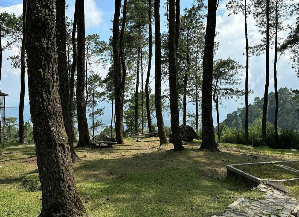 Info Vanaprastha Gedongsongo, Tempat Piknik dan Camping di Bandungan