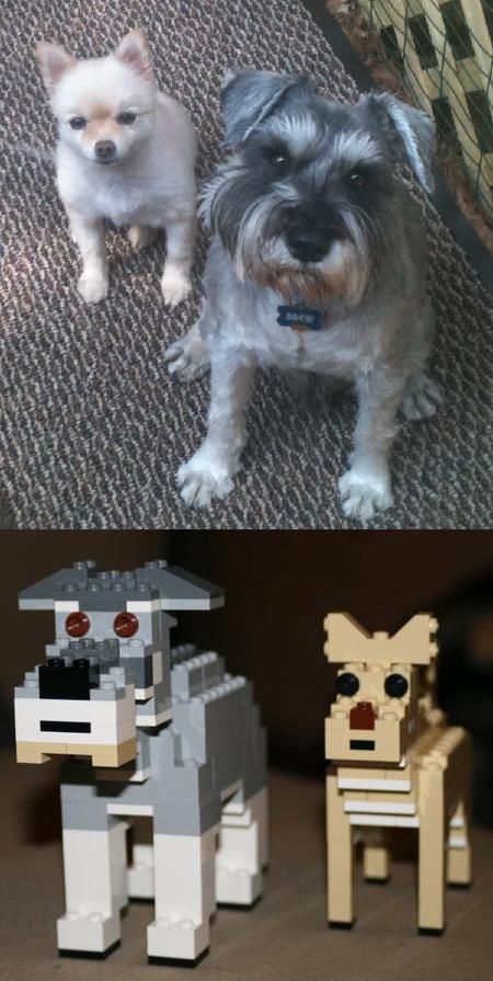 10 Potret Anjing dalam Bentuk Mainan Balok, Mirip Banget!