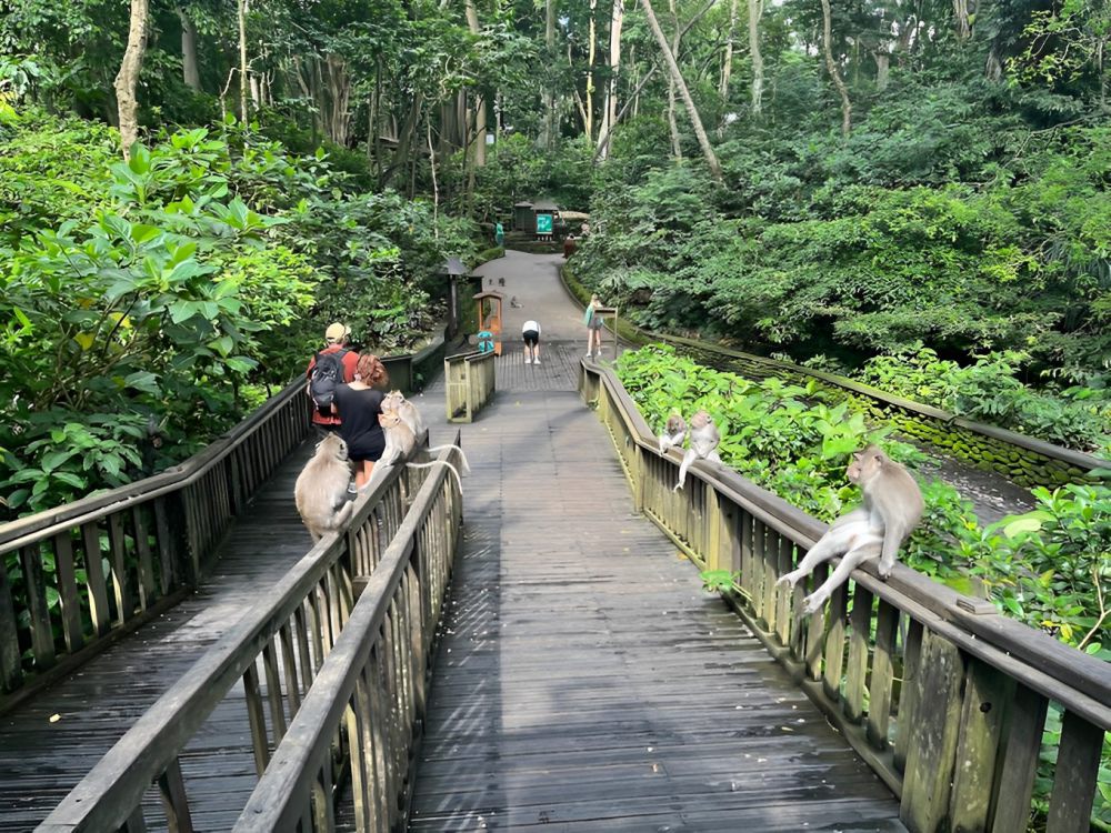 8 Tempat Study Tour di Bali, Wisata Murah yang Edukatif