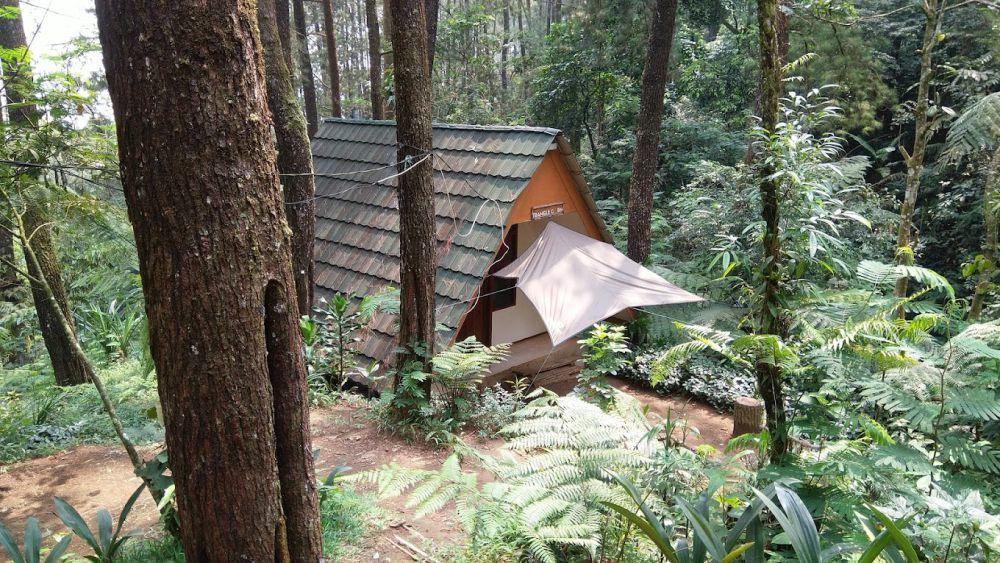 5 Glamping Murah di Puncak untuk Staycation Bareng Keluarga