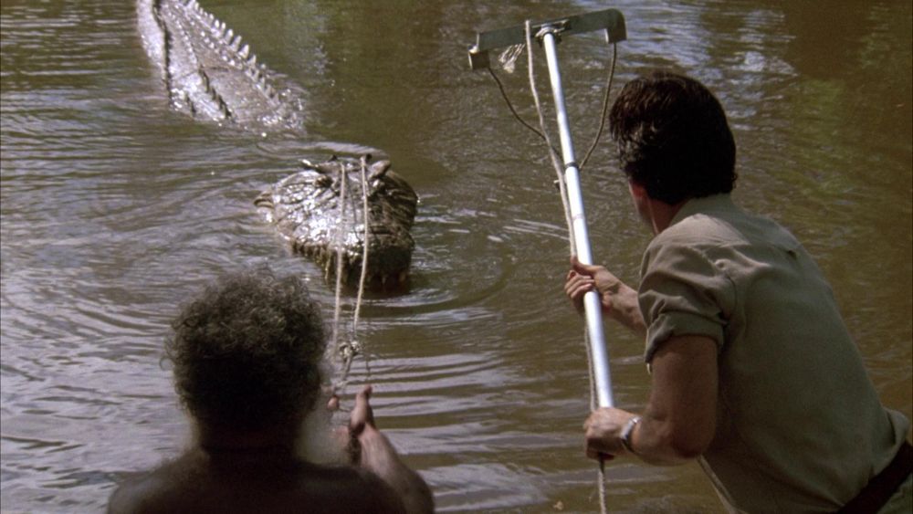 8 Film Horor Thriller Bertema Crocodile Attack, Ada Ratu Buaya Putih!