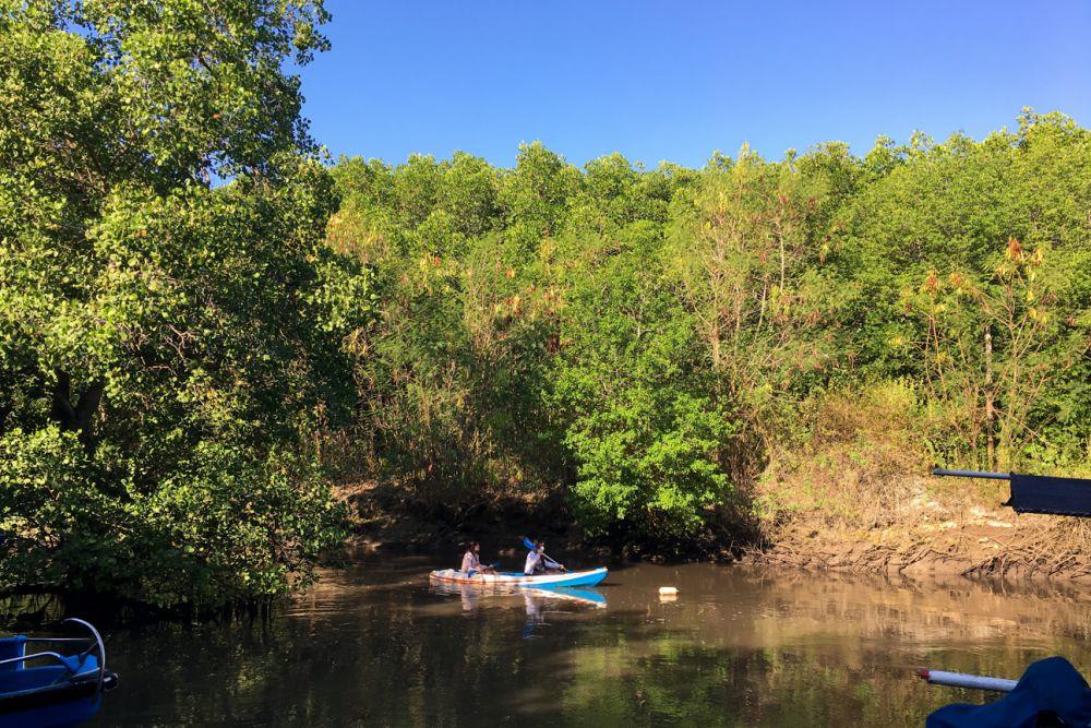 Biaya Sewa Kano di Hutan Mangrove Denpasar