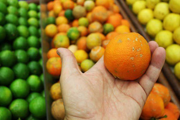 10 Tips Membeli Jeruk yang Manis dan Berkualitas di Pasar Tradisional