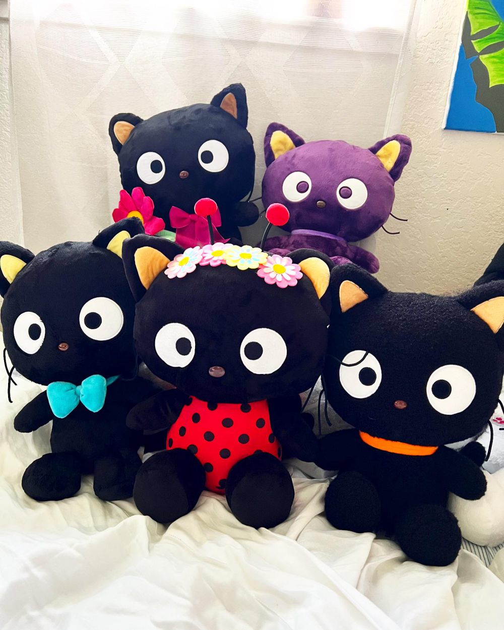 7 Potret Koleksi Chocomat, Kucing Hitam Lucu dari Sanrio