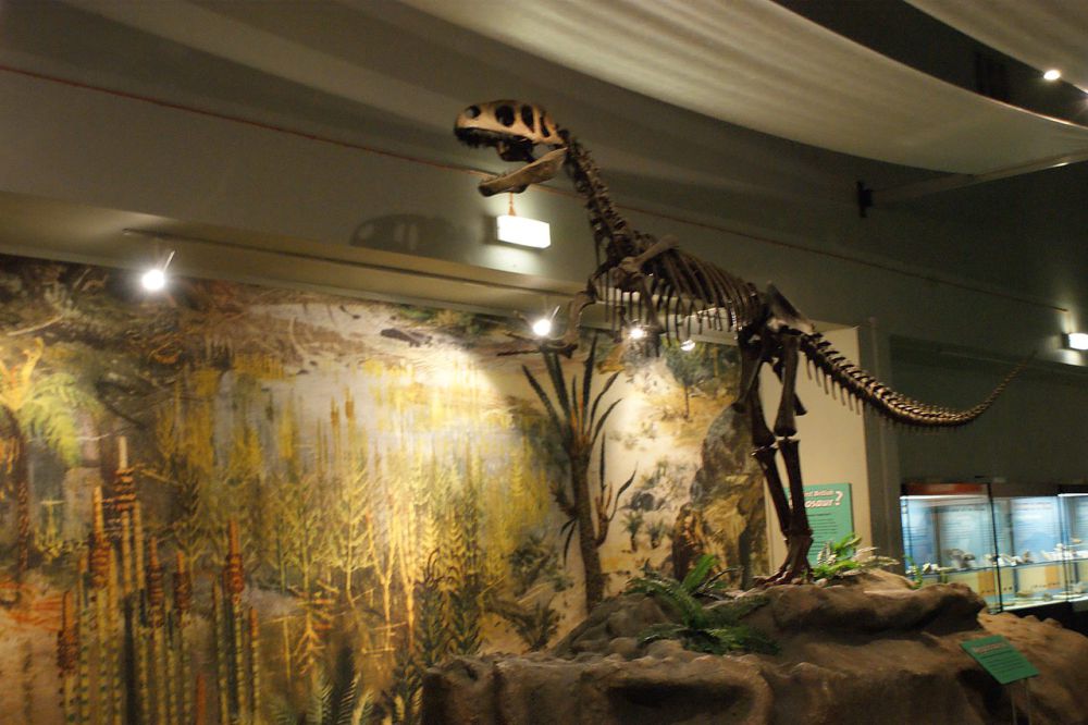 5	Fakta Megalosaurus, Dinosaurus Pertama Ditemukan di Dunia