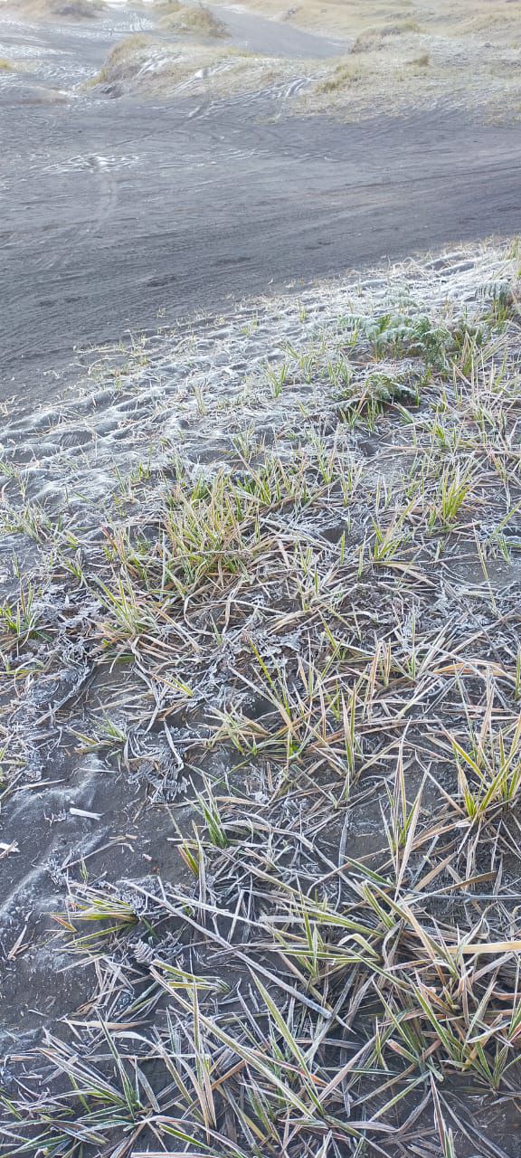 Muncul Frost, Suhu Udara di Gunung Bromo Capai 5 Derajat Celsius