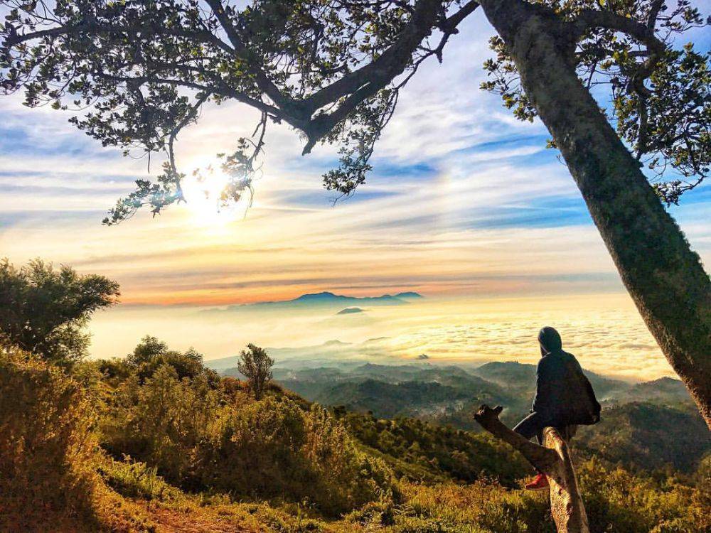 Potret Puncak B29 Spot View Bromo Yang Keren