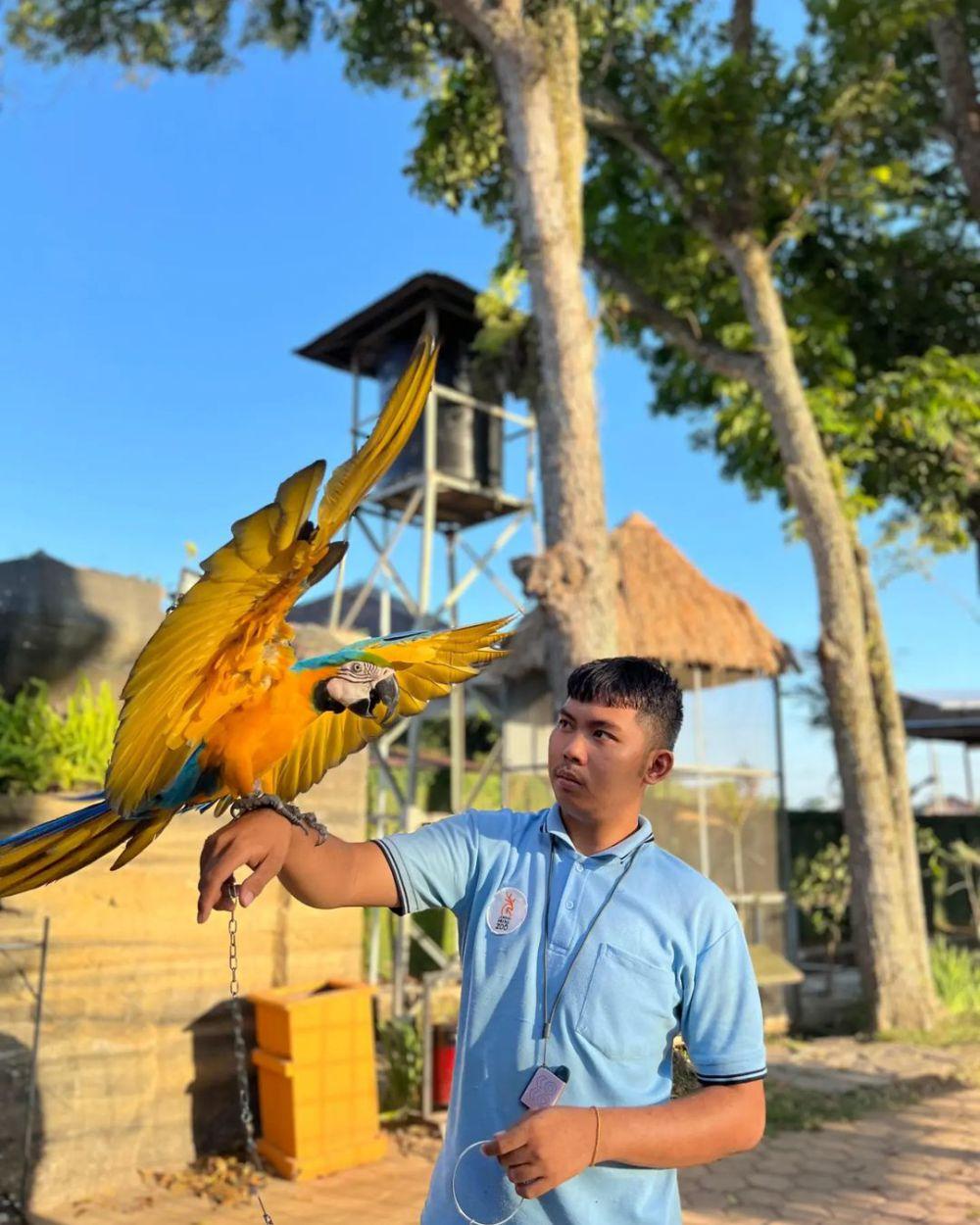 Wisata Jember Mini Zoo