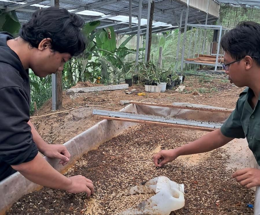 Kaesang Ikut Kampanyekan Arfi-Yena Menang di Pilwalkot Bandung 