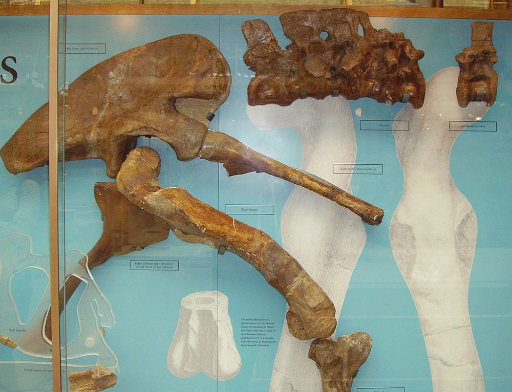 5	Fakta Megalosaurus, Dinosaurus Pertama Ditemukan di Dunia