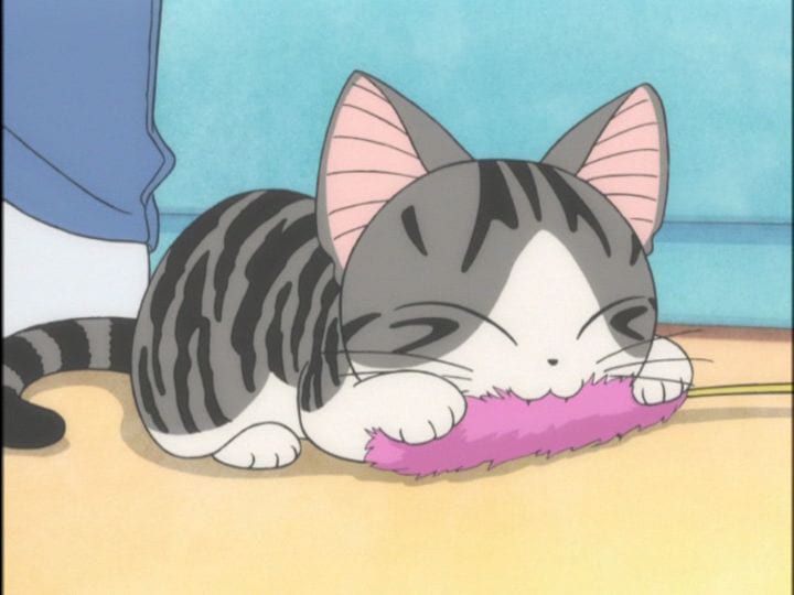 5 Rekomendasi Anime untuk Pencinta Kucing, Ceritanya Heartwarming