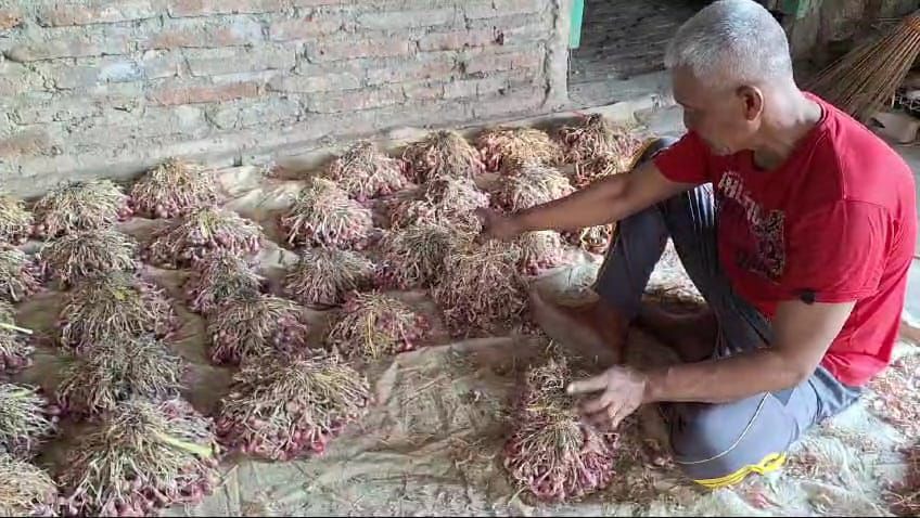 Bawang Merah Anjlok, Petani Magetan Sulit Kembalikan Pinjaman Bank