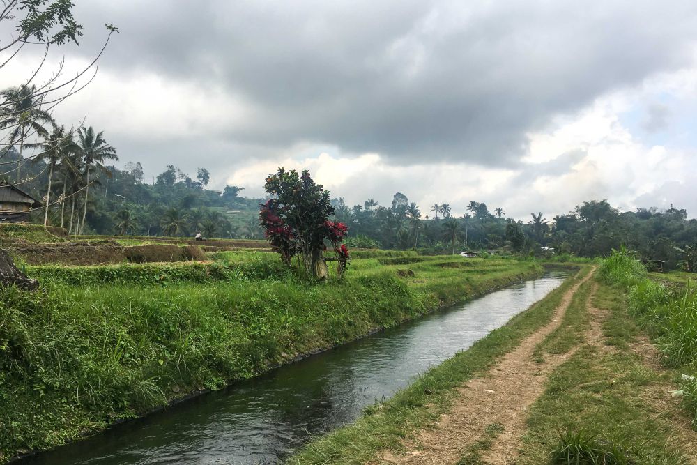 Tiket Masuk Susur Sungai di Bendungan Yeh Aya Hulu Tabanan