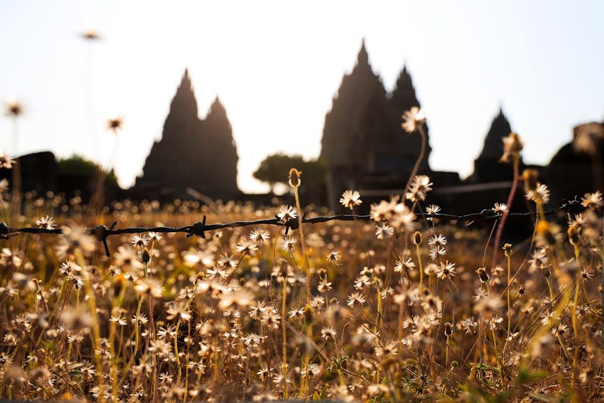 Terjawab, Ini Penyebab di Jogja Terdapat Banyak Candi