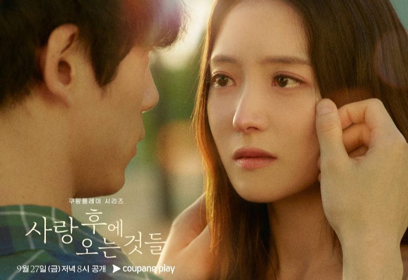 Sinopsis what comes after love drama lee se young kentaro