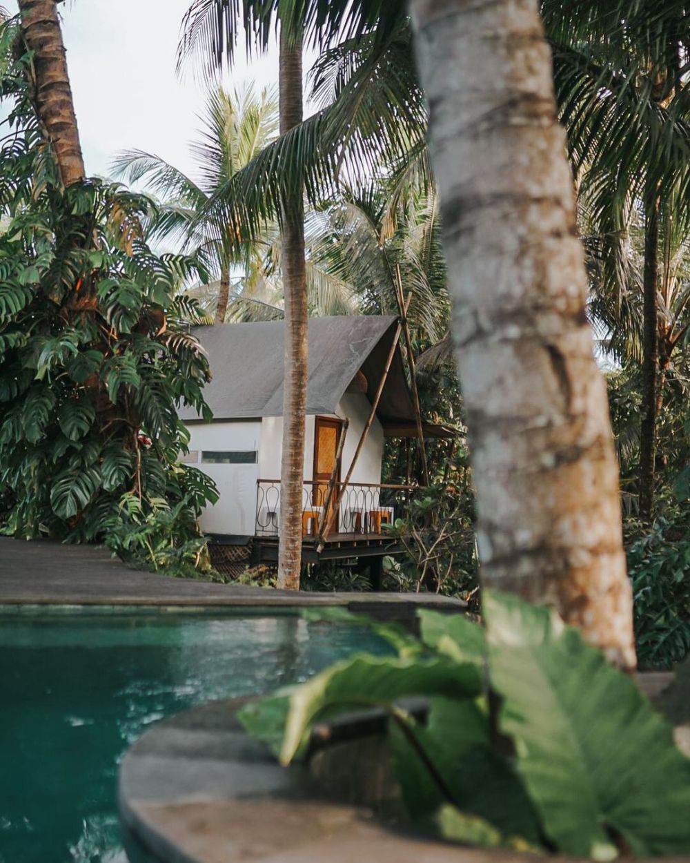 5 Glamping di Ubud, dengan Views Alam yang Menawan