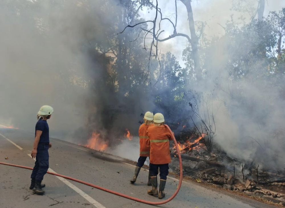 Diguyur Hujan, Kebakaran di Kawasan Gunung Tangkuban Parahu Padam