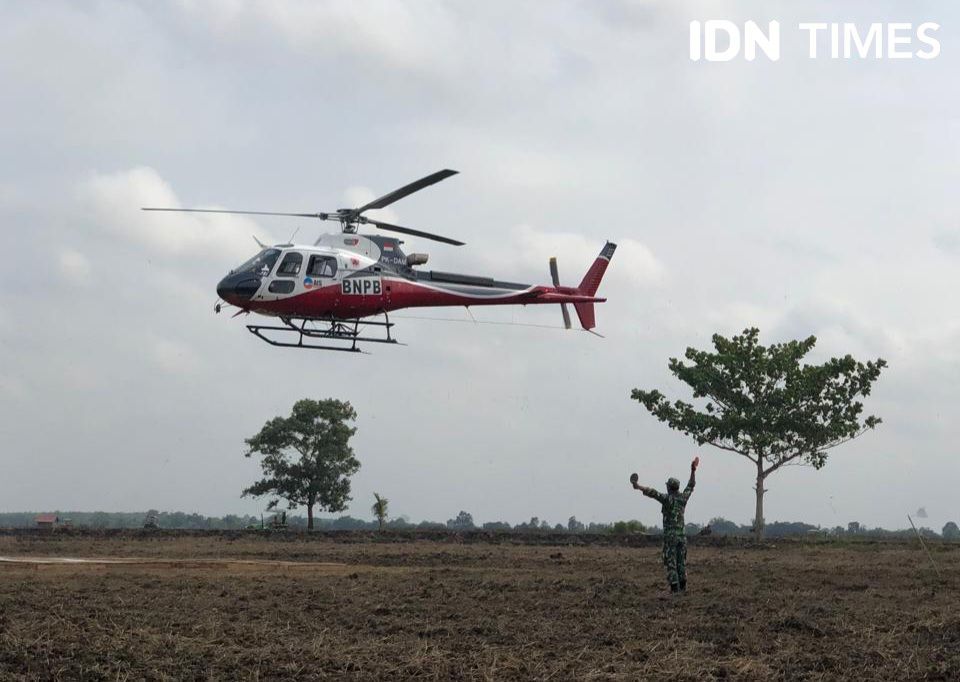 Lahan Terbakar di Sumsel pada Agustus Melonjak, Terluas di Muba