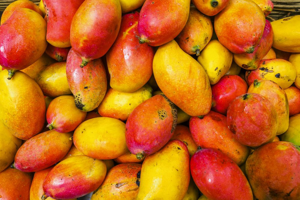 5 Tips Membeli Buah Mangga yang Segar, Cek Teksturnya!