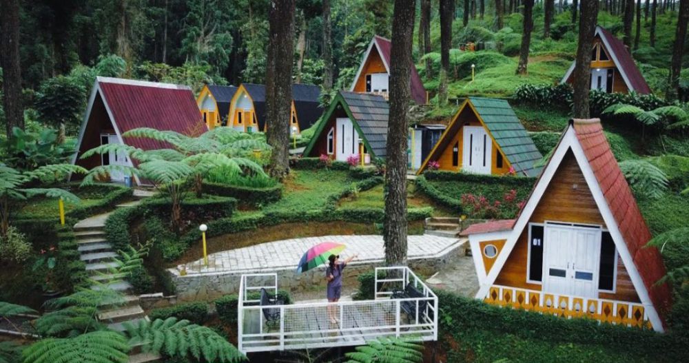 5 Pesona Unik Hutan Limpakuwus di Banyumas yang Memikat Pengunjung