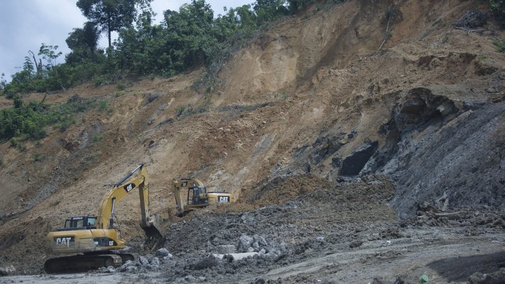 5 Fakta Seriwang Sangihe, Burung Langka yang Sempat Dianggap Punah