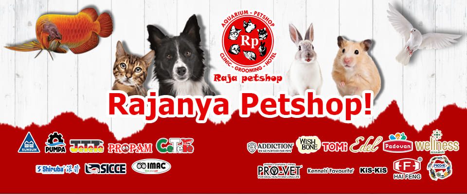 7 Rekomendasi Pet Shop di Surabaya Terlengkap