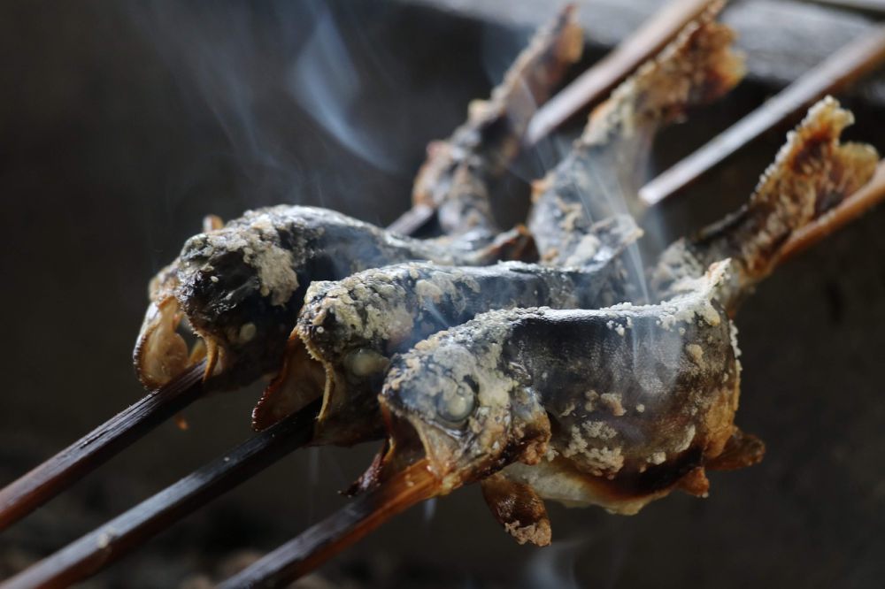 7 Restoran Ikan Bakar di Pacitan Cocok Buat Acara Keluarga